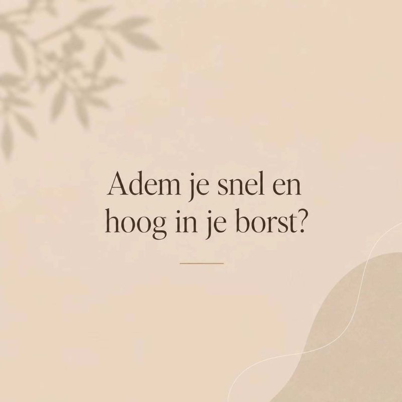 Tekstbericht: Adem je snel en hoog in je borst?